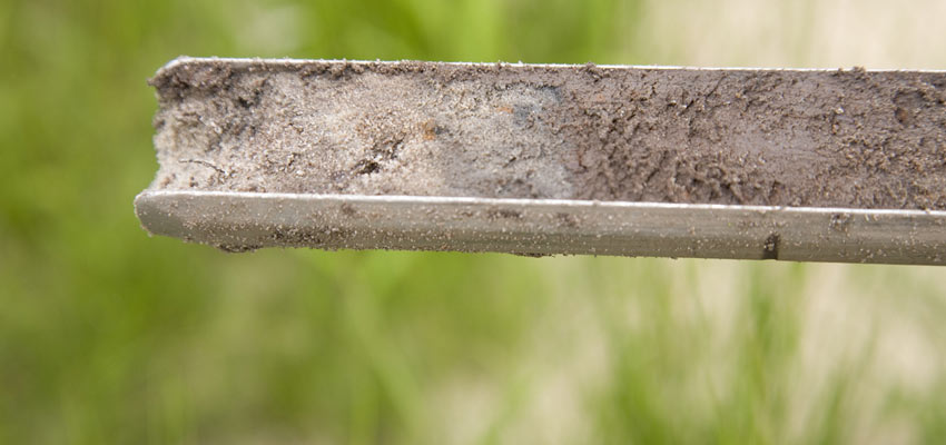 PFAS in grond en groenten