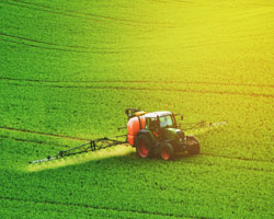 Tracktor in the field